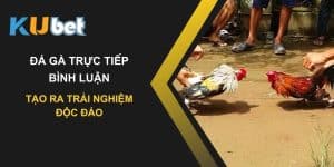 Tạo ra trải nghiệm độc đáo với đá gà trực tiếp bình luận trên Kubet